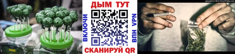 кракен   Суворов  Canna-Cookies марихуана 