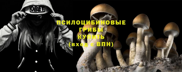 PSILOCYBIN Аркадак