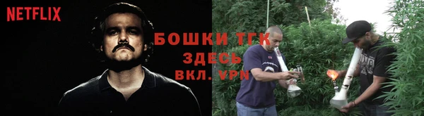 PSILOCYBIN Аркадак