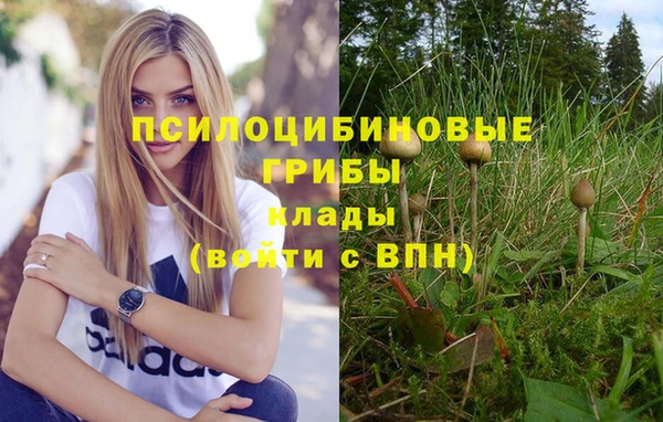 мяу мяу кристалл Армянск