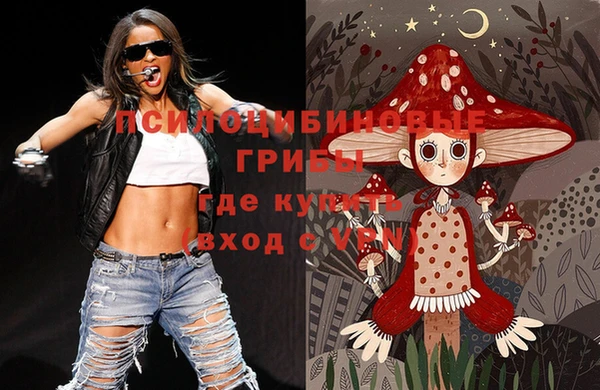 PSILOCYBIN Аркадак