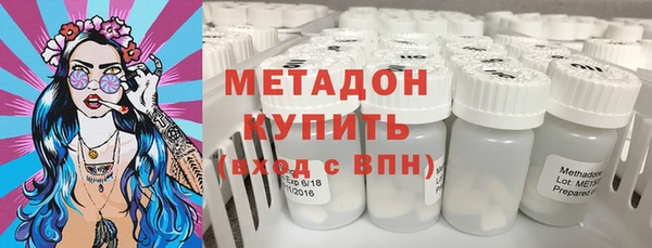 PSILOCYBIN Аркадак